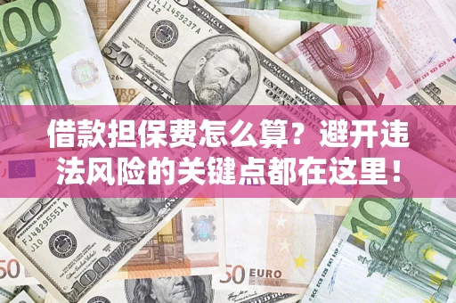 济南借款担保费怎么算？避开违法风险的关键点都在这里！