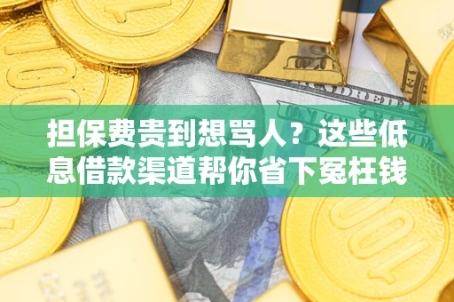 济南担保费贵到想骂人？这些低息借款渠道帮你省下冤枉钱