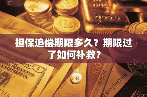 济南担保追偿期限多久？期限过了如何补救？