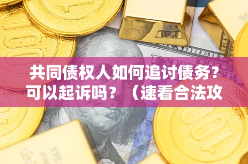 济南共同债权人如何追讨债务？可以起诉吗？（速看合法攻略）