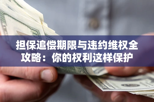 济南担保追偿期限与违约维权全攻略：你的权利这样保护